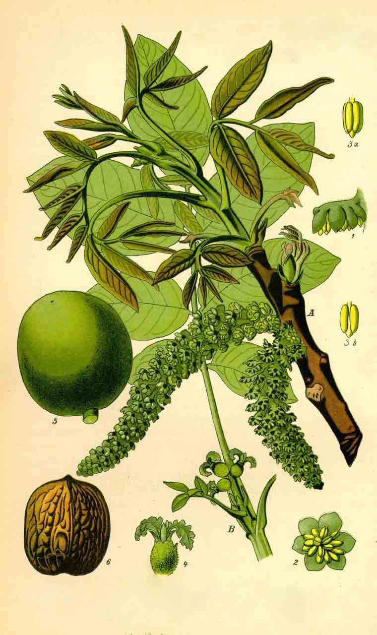 86d6277f9e2f07082fbe1018eb24b899a901f26a.jpg 86d6277f9e2f07082fbe1018eb24b899a901f26a.jpg